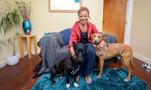 Женщина не отказалась от своих собак и терпела бездомную жизнь ради них