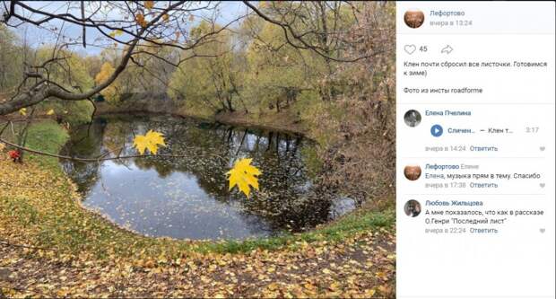 Фото дня: опавшие клены Лефортовского парка
