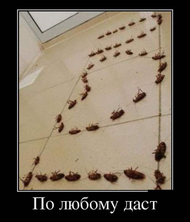 Демотиваторы (30 фото)