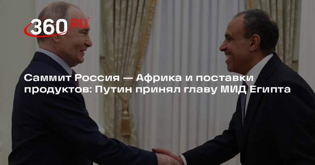 Путин обсудил с главой МИД Египта совместные проекты и предстоящий саммит