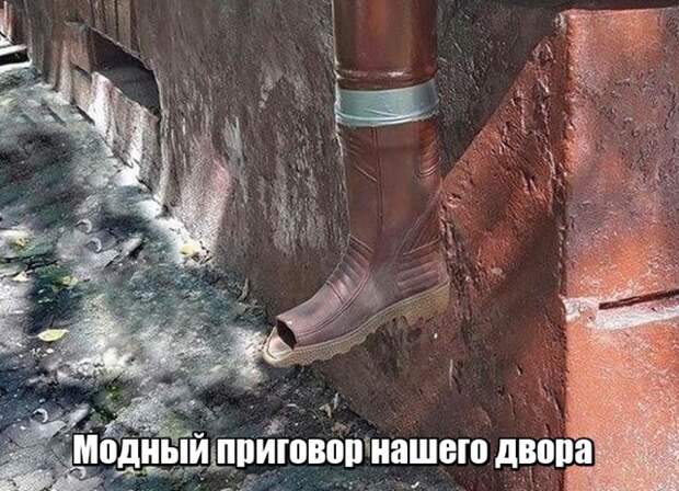 Подборка картинок (20 фото)