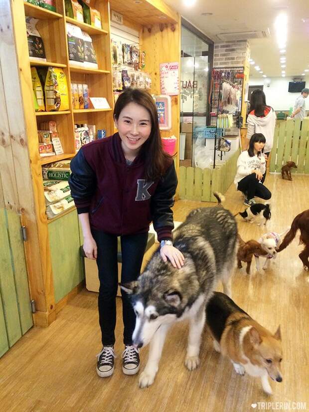 This is the front section for smaller dogs who maybe aren't super comfortable with larger breeds. 