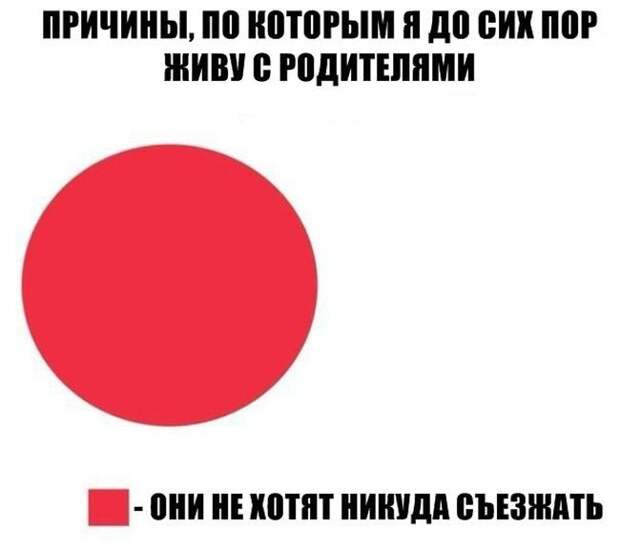 Прикольные картинки. Вечерний выпуск картинки, прикол, фото, юмор