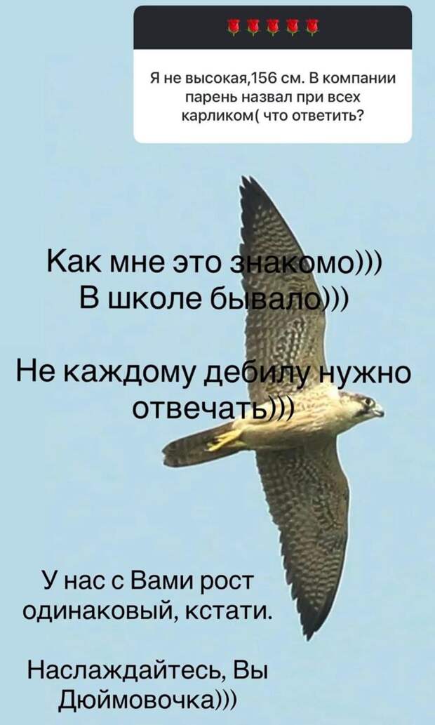 Ольга Орлова призналась, что много лет комплексовала из-за невысокого роста