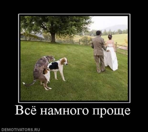 Пятничные демки, приколы в картинках и фото юмор.
