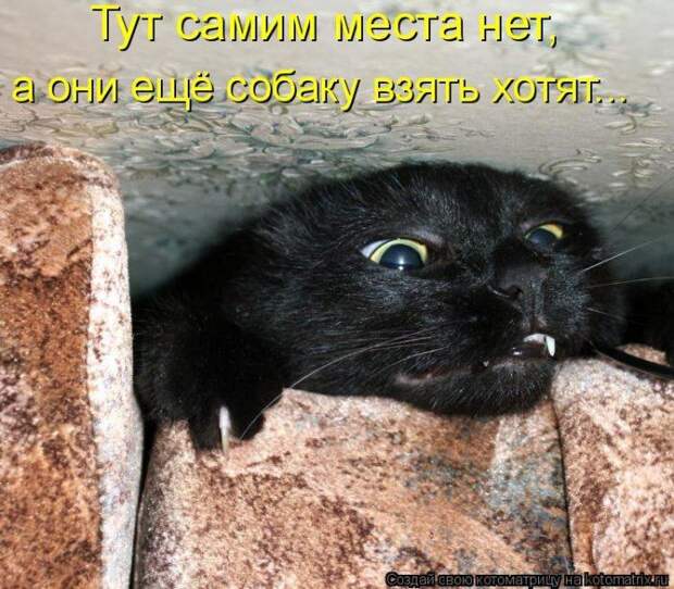 Мысли вслух :)