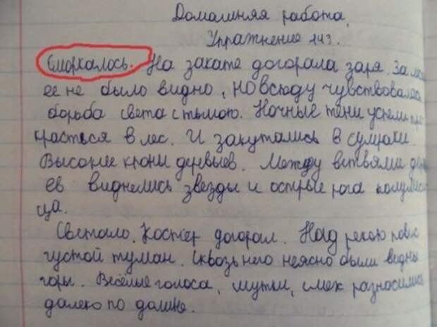 забавные детские сочинения (3)