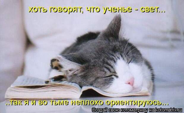 Мысли вслух :)