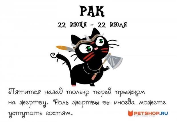 Котячий гороскоп (12 фото) Котячий гороскоп (12 фото)