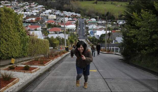 Крутая улица в Новой Зеландии 2