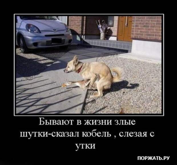 Демотиваторы по русски и по свежее