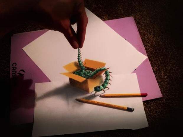 3d рисунки пфростым карандашом сороконожка