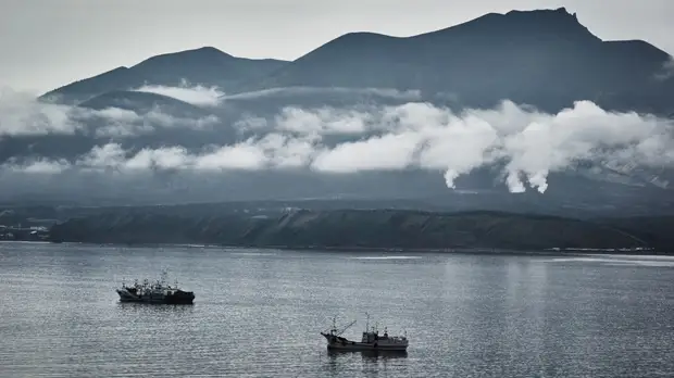 Чекунков: после принятия закона о налоговом режиме Курилы будут рады всем инвесторам