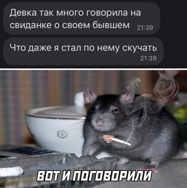 Смешные картинки вечер 22 сентября 2021 года