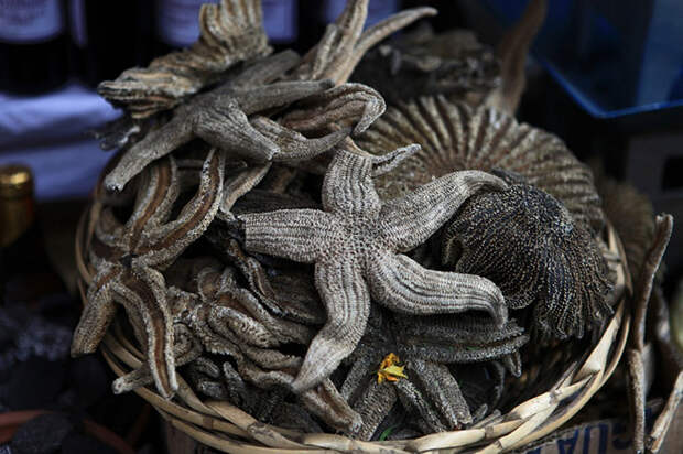 Морские звезды на прилавке Рынка для ведьм. Фото: Julie Laurent.