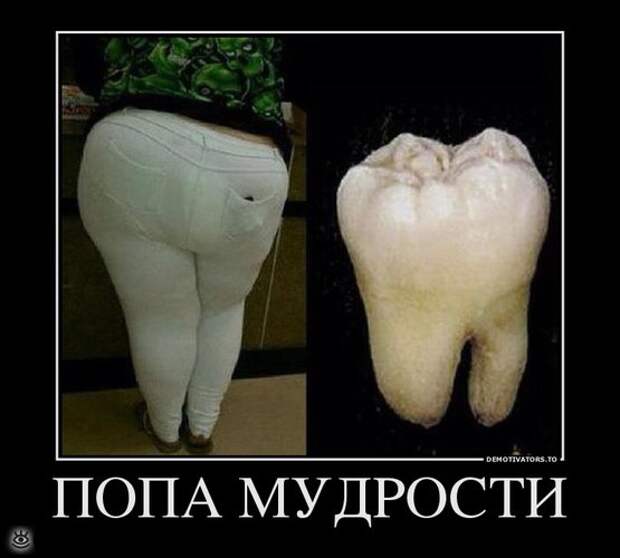 Спасибо женщинам за эволюцию! 16