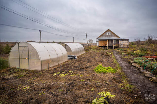 Садоводам дали советы, как привести свои участки в порядок весной
