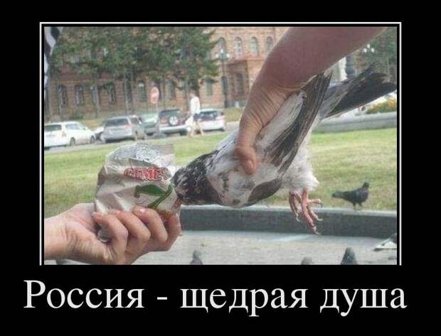 Демотиваторы демотиваторы, прикол, смех, юмор