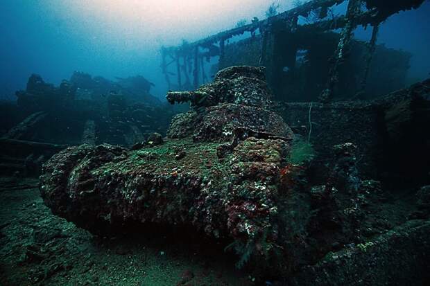 koshmary-nochnye-pohozhih-eto-interesno-poznavatelno-kartinki