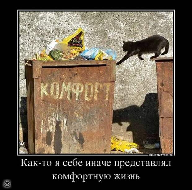 В поисках смысла 26