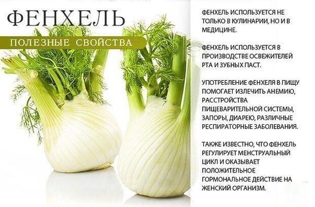 ПОЛЕЗНЫЕ СВОЙСТВА. Лайфхак, ПОЛЕЗНЫЕ СВОЙСТВА, факты