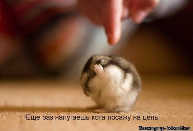 Мысли вслух :) №23814