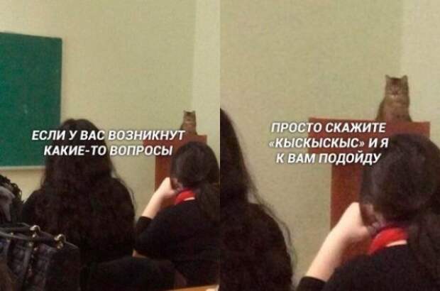 Картинки и мемы для настроения