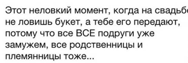 Фото приколы которые веселят.