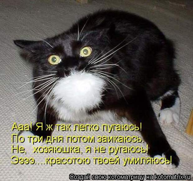 Мысли вслух :)