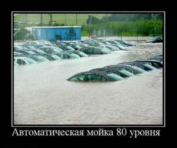 Демотиваторы приколы к выходным.