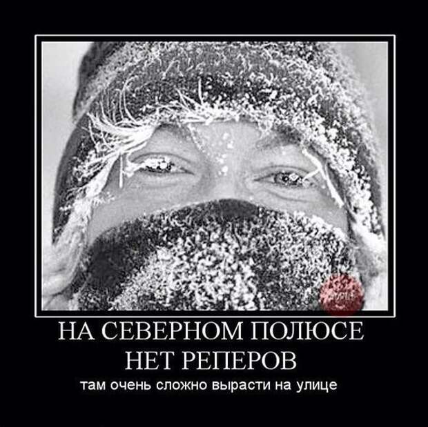 Картинки с подписями