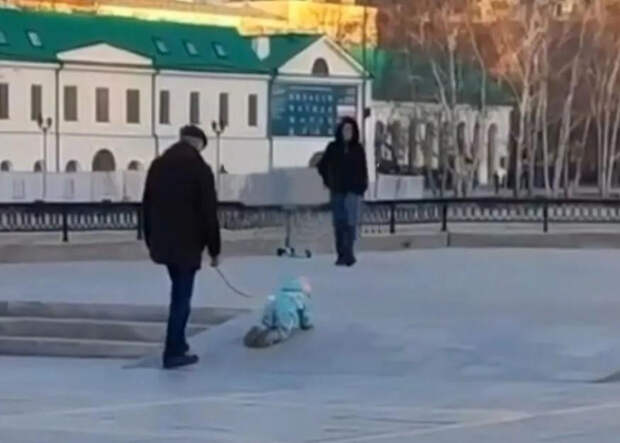 Москвичи все чаще выгуливают детей на поводке: общественность возмущена