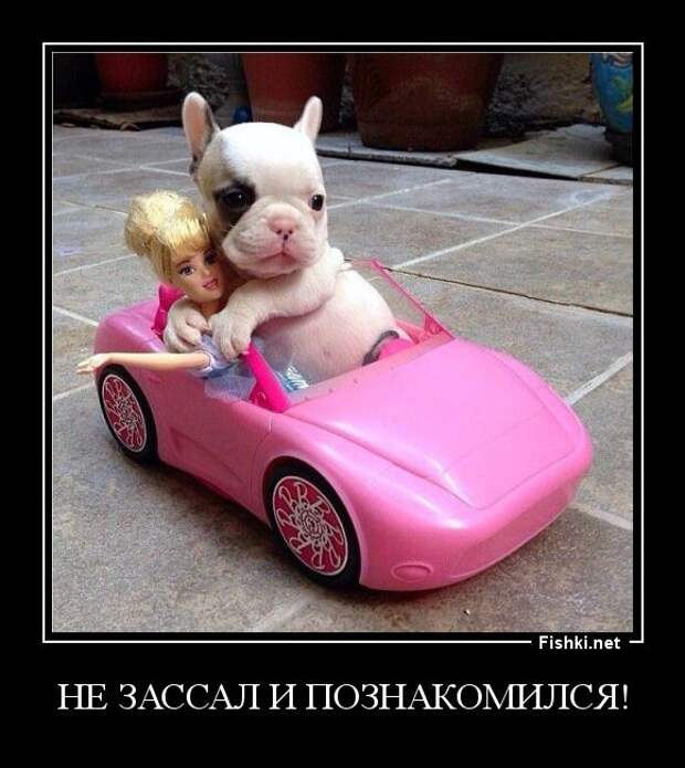 Демотиваторы  демотиваторы, прикол, смех, юмор
