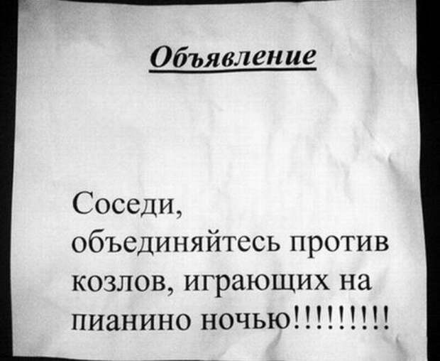 Смешные и прикольные объявления в подъездах (12 фото)
