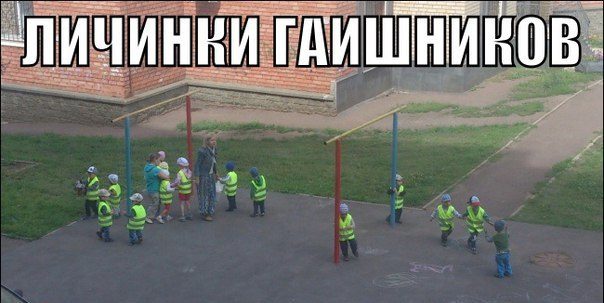 Фразы в картинках. Отличные приколы!