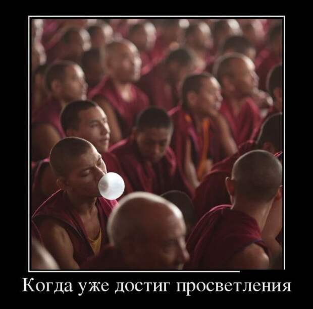 Демотиваторы №1105 (30 фото)