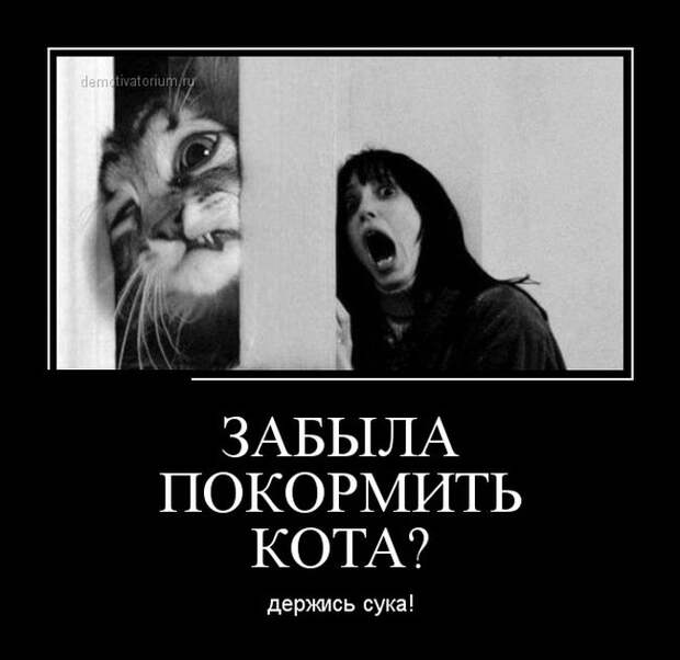 Демотиваторы №1050 (30 фото) Демотиваторы №1050 (30 фото)