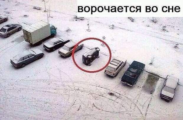 Картинки со смешными надписями Картинки со смешными надписями