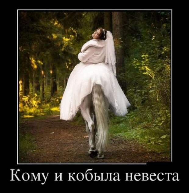 Демотиваторы (13.01.16)