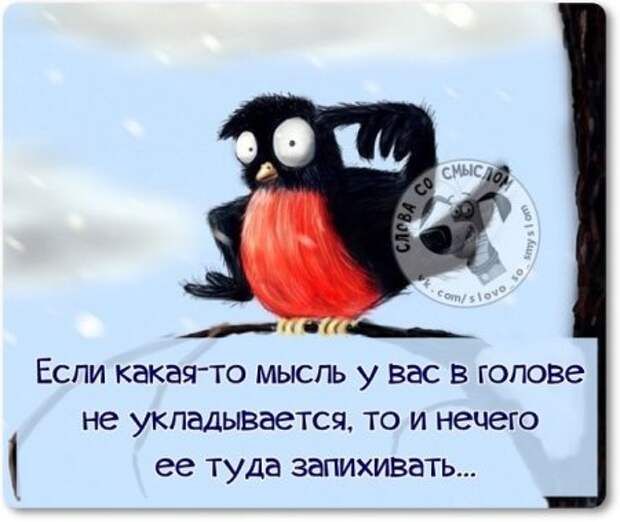 Картинки с юмором