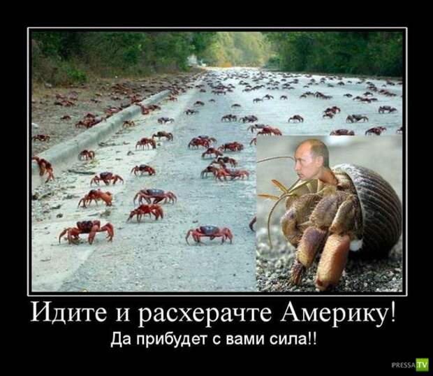 Демотиваторы на сентябрь 6, (30 фото) Демотиваторы на сентябрь 6, (30 фото)