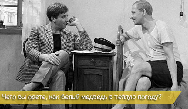 30 гениальных фраз из «Золотого теленка» золотой теленок, кино, фильм, фраза, цитата