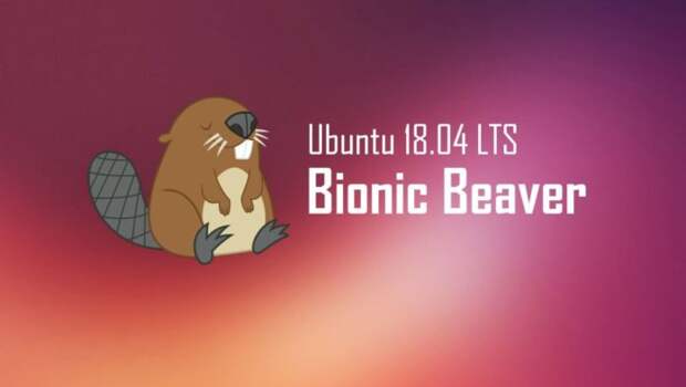 Пока, Windows: первые шаги в Ubuntu 18.04