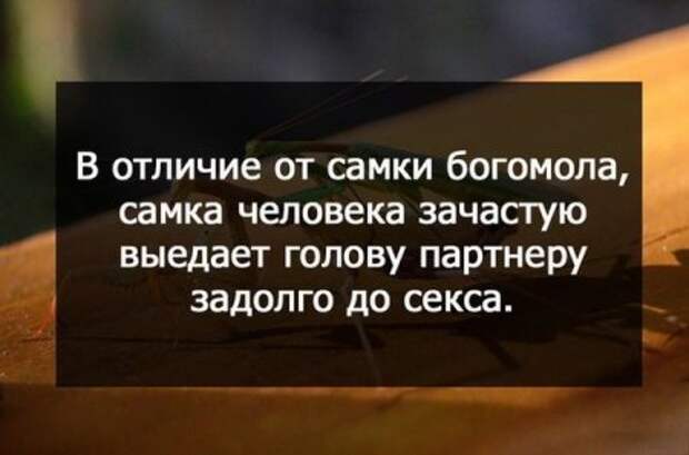 Картинки прикольные, твой жир - твое богатство.