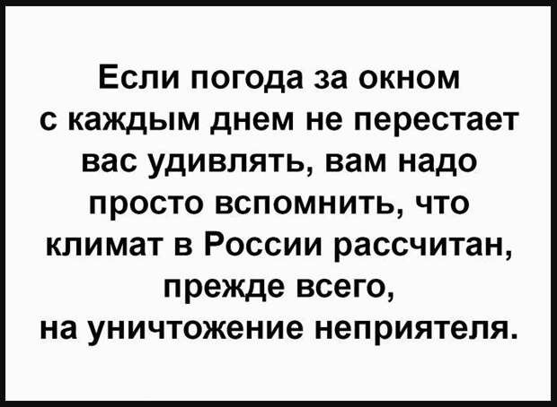 Новые смешные до слёз картинки (20)