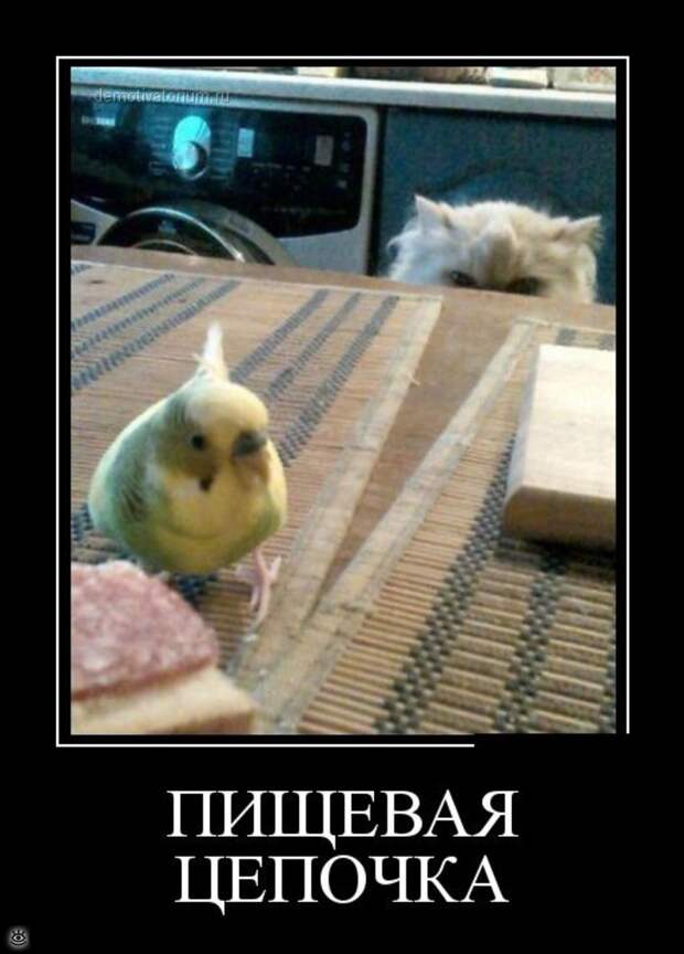 Смотри на жизнь весело! 1