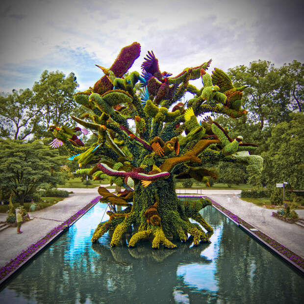 The Bird Tree