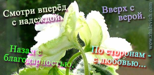 http://img11.proshkolu.ru/content/media/pic/std/5000000/4138000/4137747-6fd8104d7d462838.jpg