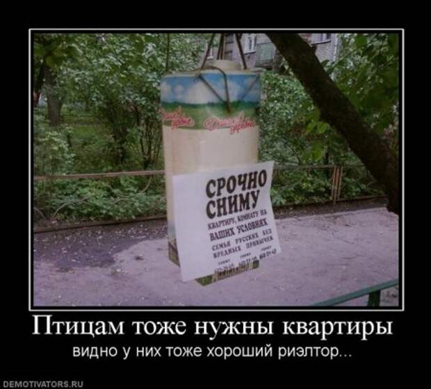 Пятничная демотивация на сайте.