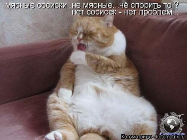 Еженедельная котоматрица (33 фото)